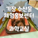 기장수산물체험홍보센터 | 기장수산물체험홍보센터 과학 교실 후기 및 예약방법, 아이랑 주말에 갈만한 곳