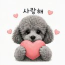 타니티콘 공유합니다(feat. 탄이 스티커) 이미지