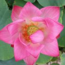 동산연합의원 이미지