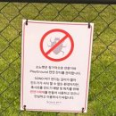 토리펫 | 강아지를 위한 리조트 소노펫 토리와 방문한 후기 완전 반함주의, 재방문하고싶음주의