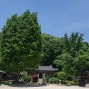 삼월의 바다