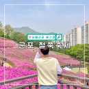 8단지입구사거리(철쭉동산쪽) | 군포 철쭉축제 기본정보, 대중교통, 철쭉 개화시기