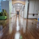 영남삼육고등학교 이미지