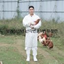난각1번 유정란 추천! 포장부터 신선도까지 만족했던 양계장청년 유정란