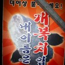 포항 죽도시장 개복치~ 이미지