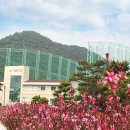 백로사우나 이미지