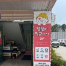 귀여운 댕댕이천국 오산애견카페 '댕댕아 학교가자' 후기