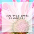 언리밋짐 이미지