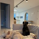 강화남부농협 양도지점 이미지