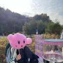 클라라피아노음악교습소 네이버블로그