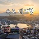 대포항 | 속초 대포항 야경 후기 주차 다리 버스킹