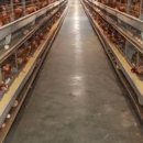 대비농장2 이미지