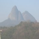 이진규농장 Daum카페