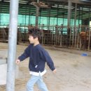 앞동산가든 이미지