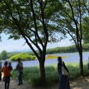 노다지목장 이미지