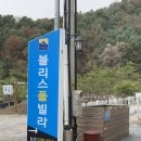 가평남이섬 블리스 풀빌라 펜션 | 가평 블리스 풀빌라 가족여행 후기