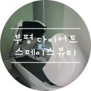 본(Bon)스파 피트니스 | 부평다이어트 :) 스페이스뷰티 피트니스 돔 체형 균형관리 후기