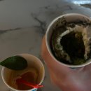 제주 동쪽 여행 기록