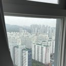 우야돈야