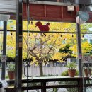 디카페(DCafe) | 창원 사파동 | 사파동 법원 근처 디카페 Dcafe 초간단 방문 후기