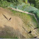 해뜨는펜션 이미지