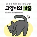 AMI PET 이미지