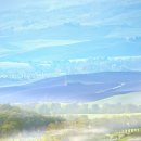 스카리아 이미지