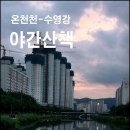 온천천-수영강 야간산책 이미지