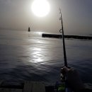 제일카 | 렌트카 제주도 렌터카대여 제주 낚시여행 가능한 렌트카 애완견동반 렌트카 / 내돈내산 제일렌트카 후기