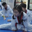 유강 참태권도장 이미지