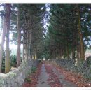 죽성농장 | 죽성마을