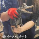 서울 아이랑 가볼만한곳 쥬니버스 체험 후기!