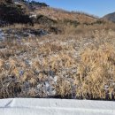 김창희공인중개사사무소 이미지