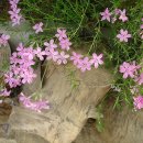 석굴암농장 이미지