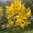 부리농장 이미지