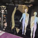 근풀림안마원 이미지