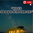 1955 알파 로메오 T10 리뷰: 레트로 캠핑카의 극치?