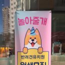 꾸며줄개 이미지
