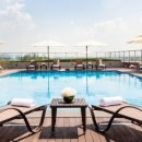 소노캄 고양 이미지