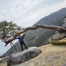 필봉약수터 이미지