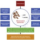 Re:Feeding mitochondria: Potential role of nutritional components to Q12 improve critical illness convalescence 이미지