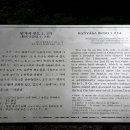 반야사부도2기 이미지