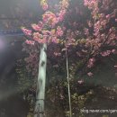 대지로 3번길 이미지