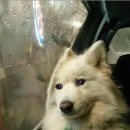 아일랜드호텔 이미지