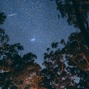 솔향가득서울캠핑장 이미지