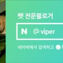 훈트하임 이미지