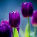 시원이네 이미지