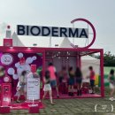 스마일 옷수선 | 워터밤 서울 2025 후기 | 2NE1 엑소 카이 키스오브라이프 권은비 GRAY 라인업 + 준비물&amp;꿀팁&amp;포토존...