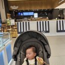 수원-0276 이미지