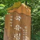 진동리주차장2(주차장 내) 이미지